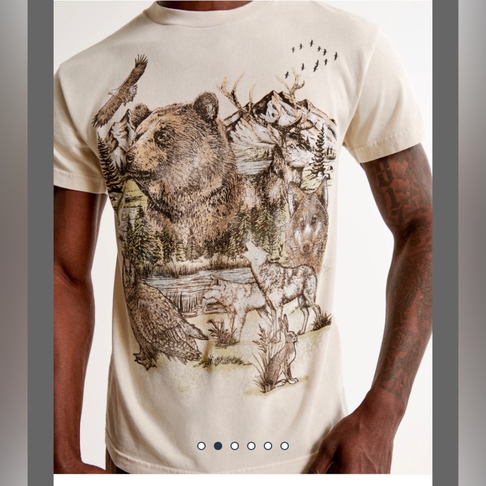 Abercrombie + Fitch Wildlife Graphic Tee